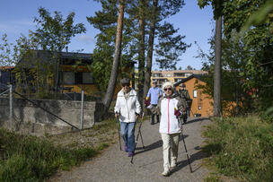 Sauvakävelijät tulossa kuvaajaa kohti hiekkatiellä kaupunkialueella.