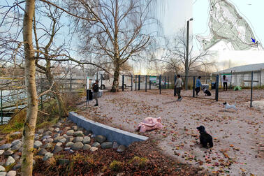 Koira-aitaus jaetaan pienille ja isoille koirille