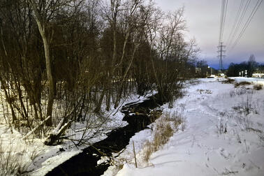Talvinen Mustapuro Myllypuron liikuntapuistossa.