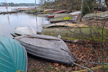 Soutuveneitä rannalla. Taustalla näkyy lehdettömiä puita ja kaistale vesistöä.