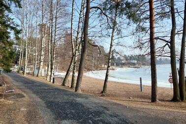 Tie, puita ja ranta.