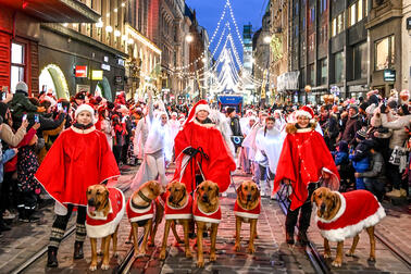 Ihmisiä ja koiria jouluparaatissa