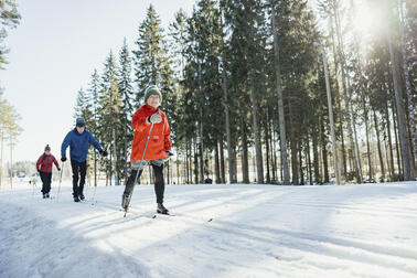 Kolme henkilöä hiihtää aurinkoisena päivänä metsässä kulkevalla ladulla.