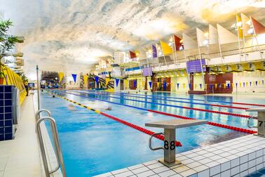 A large swimming pool with swimming lanes, built below ground level.