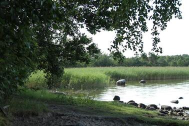 Kallahden rantaa. kuva: Seppo Laakso.