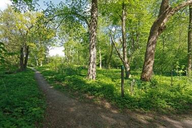 Niskalan arboretum. Kuva: Jussi Helimäki