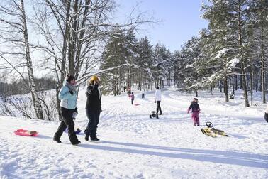 Helsinkiläisestä talviluonnosta nautitaan kävellen, pulkkaillen ja kelkkaillen.