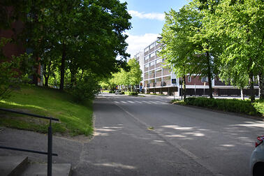 Näkymä Pukinmäen Säterintiellä.