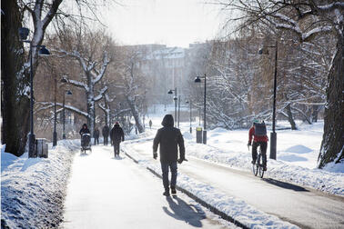 Töölönlahti talvella.