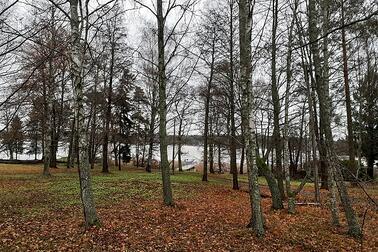 Vähäniityn puisto Kulosaaressa. 