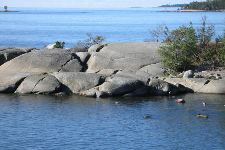 Pihlajasaari. Kuva: Pira Cousin. Pihlajasaari. Kuva: Pira Cousin.