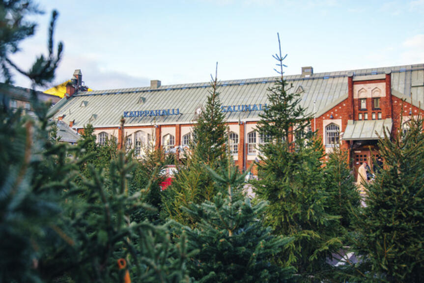 Myytäviä joulukuusia. Myytäviä joulukuusia.