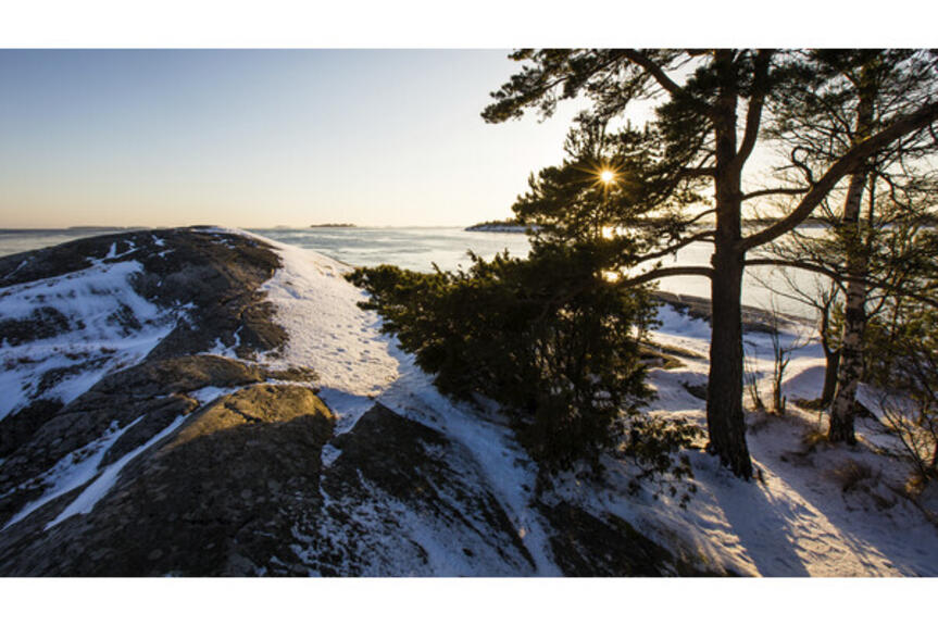 Skatanniemi. Kuva: Teemu Saloriutta. Skatanniemi. Kuva: Teemu Saloriutta.