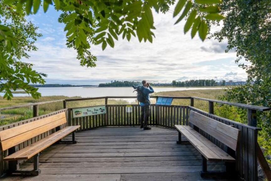 Mies katselee kiikareilla horisonttiin puisella tasanteella. Tasanteella on penkkejä ja infotaulu linnuista. Taustalla näkyy meri. Mies katselee kiikareilla horisonttiin puisella tasanteella. Tasanteella on penkkejä ja infotaulu linnuista. Taustalla näkyy meri.