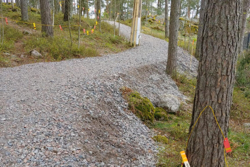 Henrik Borgströmin puiston uutta metsäpolkua. Henrik Borgströmin puiston uutta metsäpolkua.