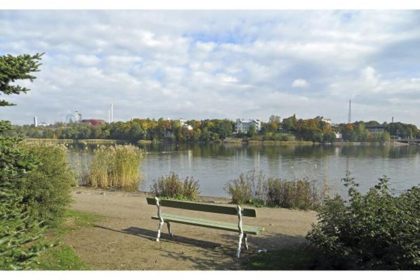 Kuvassa on tyyni Tölönlahti ja penkki Kuvassa on tyyni Tölönlahti ja penkki