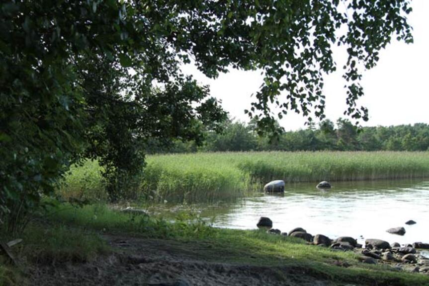 Kallahden rantaa. kuva: Seppo Laakso. Kallahden rantaa. kuva: Seppo Laakso.