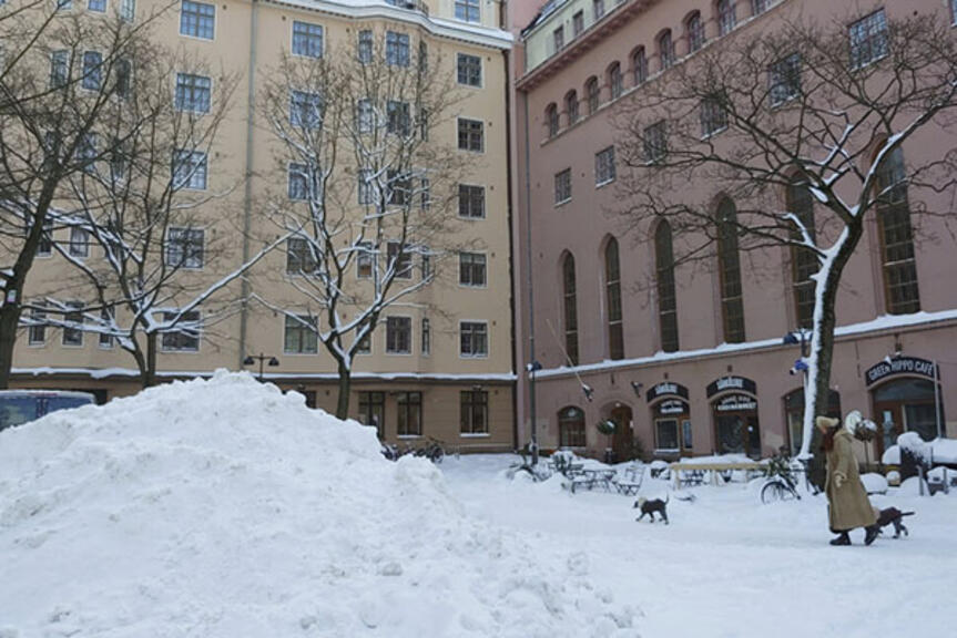 Lumikasa-Fredrikintorilla-tammikuussa-2021 Lumikasa-Fredrikintorilla-tammikuussa-2021