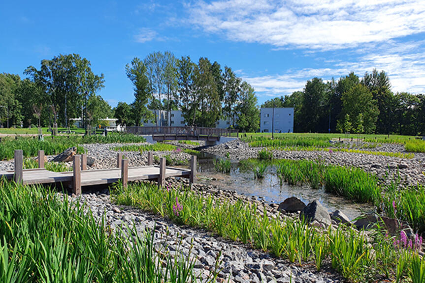 Peruskorjattu Kirsikkapuisto. Kuvassa on lampi, silta, laituri ja istutuksia. Peruskorjattu Kirsikkapuisto. Kuvassa on lampi, silta, laituri ja istutuksia.