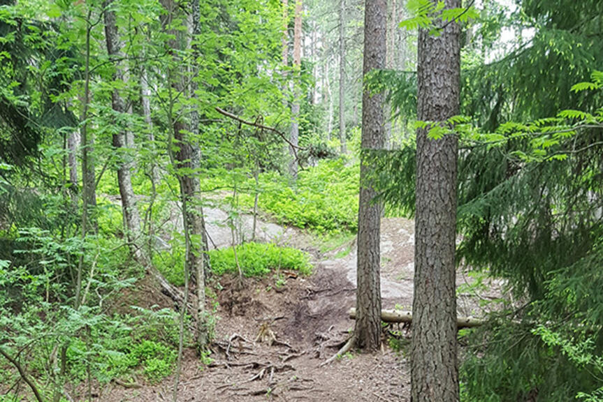 Keskuspuiston maastopyöräreittiä. Keskuspuiston maastopyöräreittiä.