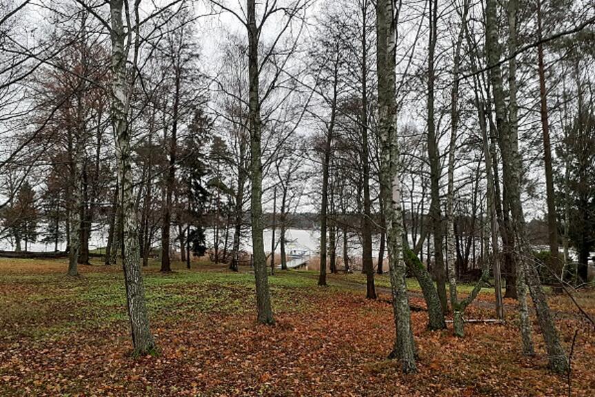 Vähäniityn puisto Kulosaaressa. Vähäniityn puisto Kulosaaressa.