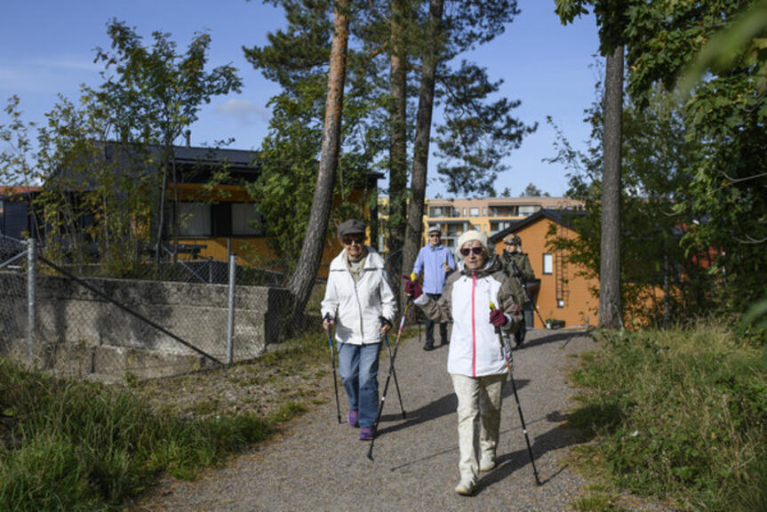 Sauvakävelijät tulossa kuvaajaa kohti hiekkatiellä kaupunkialueella. Sauvakävelijät tulossa kuvaajaa kohti hiekkatiellä kaupunkialueella.