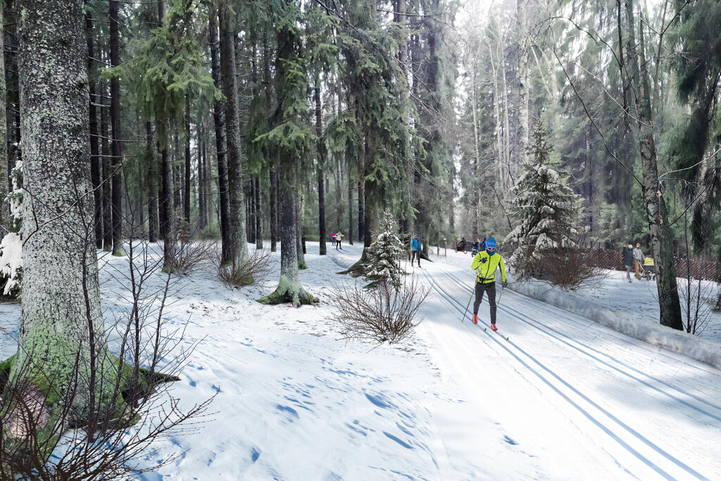 The new ski trails in Central Park are tracks for classic skiing, so their need for space and impact on nature is as small as possible. Illustration. Photo: WSP