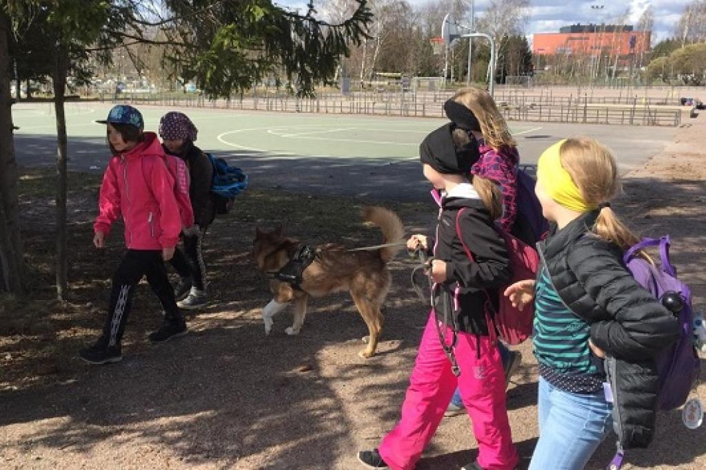 Lapset taluttavat koiraa koulun lähimetsässä.