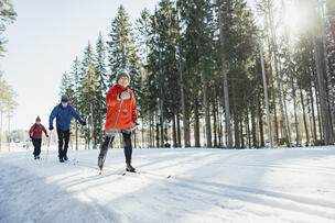 Kolme henkilöä hiihtää aurinkoisena päivänä metsässä kulkevalla ladulla.