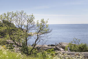 Vallisaari.