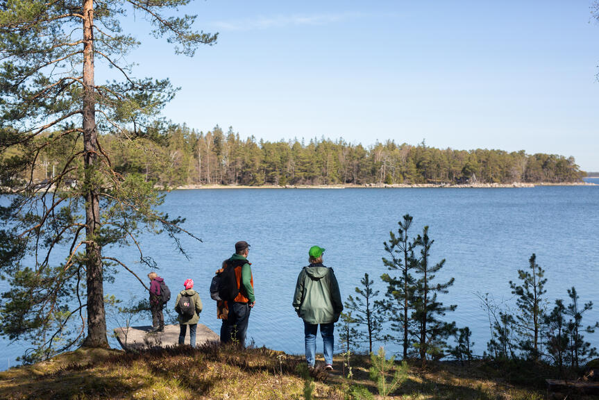Neljä henkilöä seisoo kalliolla ja katsoo merta.