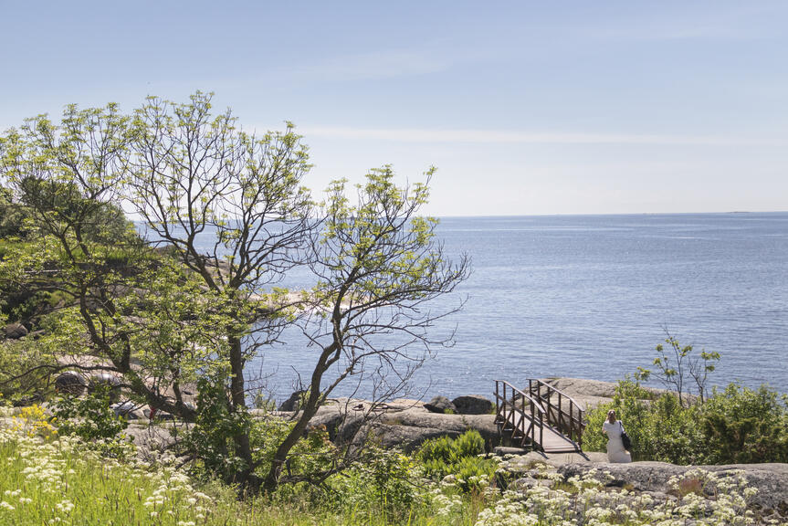 Vallisaari.