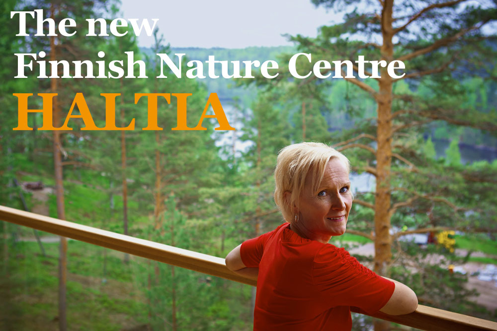 Haltia 1
