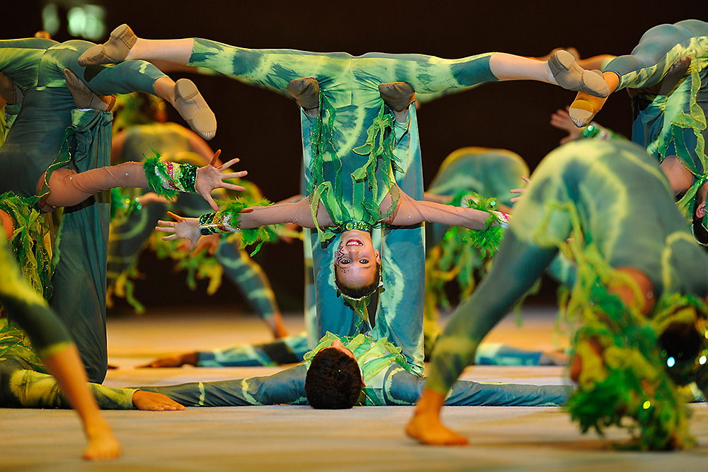 Gymnastic
