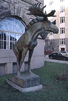 Jussi Mäntynen: The Elk, 1923. You may not use this photo for commercial purposes. © Photo: Helsinki Art Museum