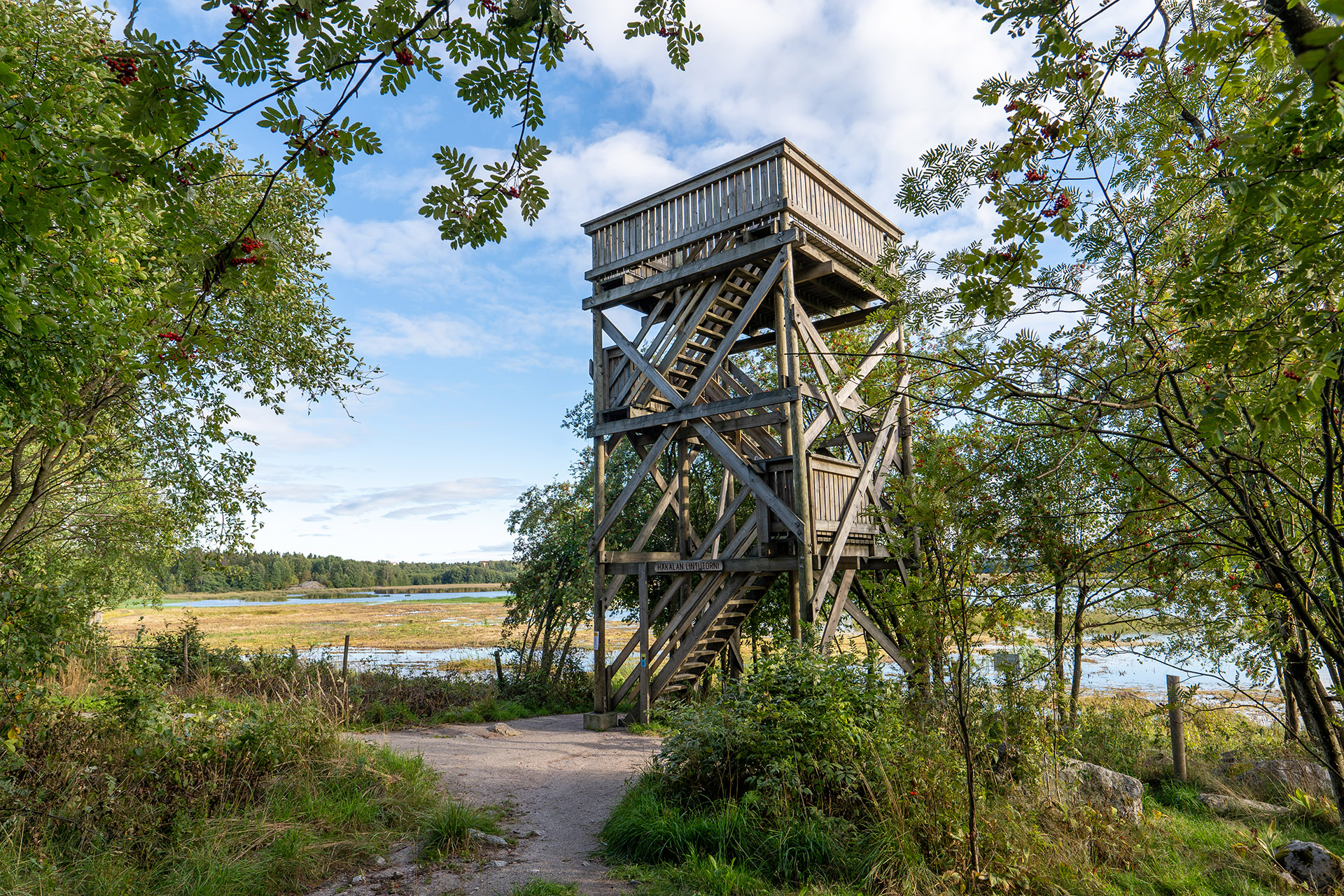 Kuva toimipisteestä: Viikki-Vanhankaupunginlahti, Hakalan lintutorni