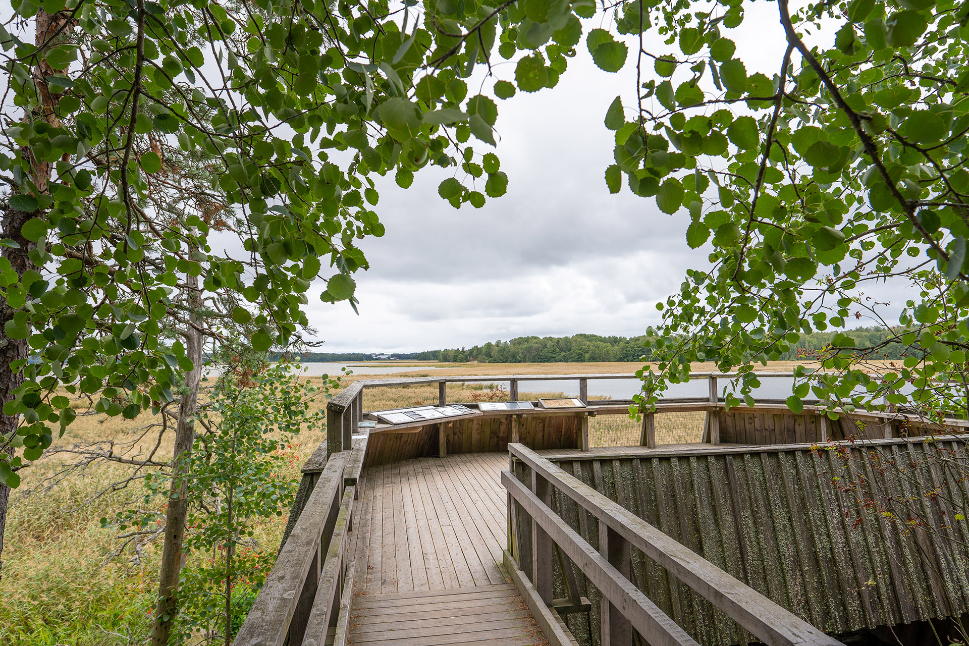 Picture of service point: Kivinokka birdwatching platform