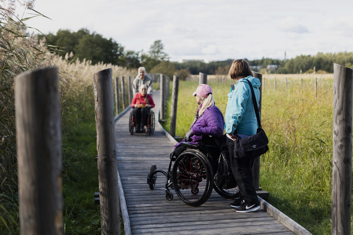 Picture of service point: Lammassaari accessible boardwalk 2.4 km