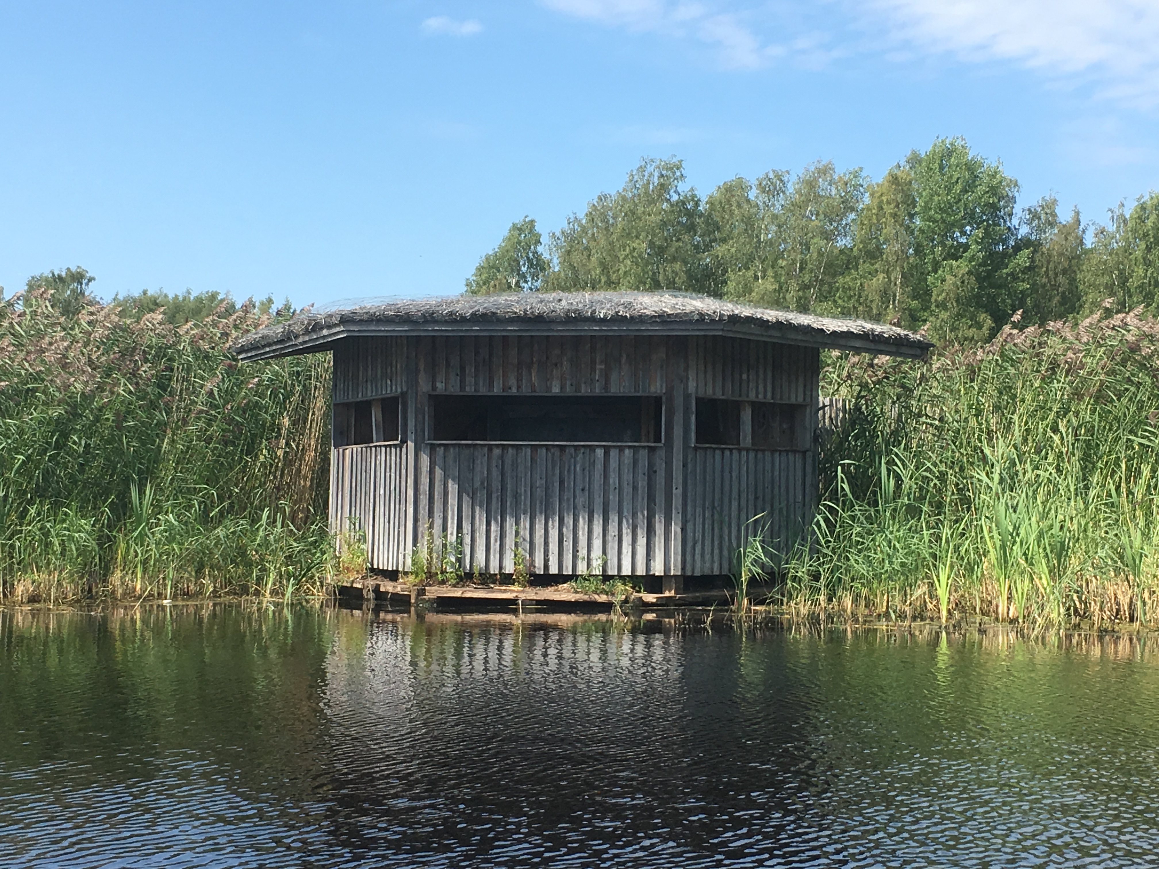 Kuva toimipisteestä: Viikki-Vanhankaupunginlahti, Pornaistenniemen piilokoju