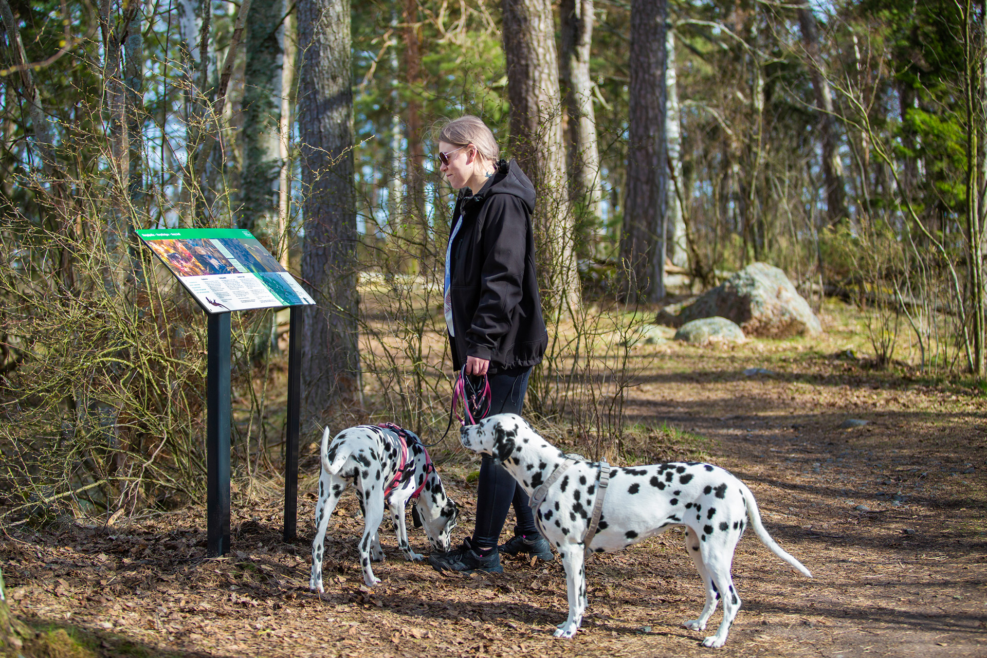 Kuva toimipisteestä: Uutelan herppipolku