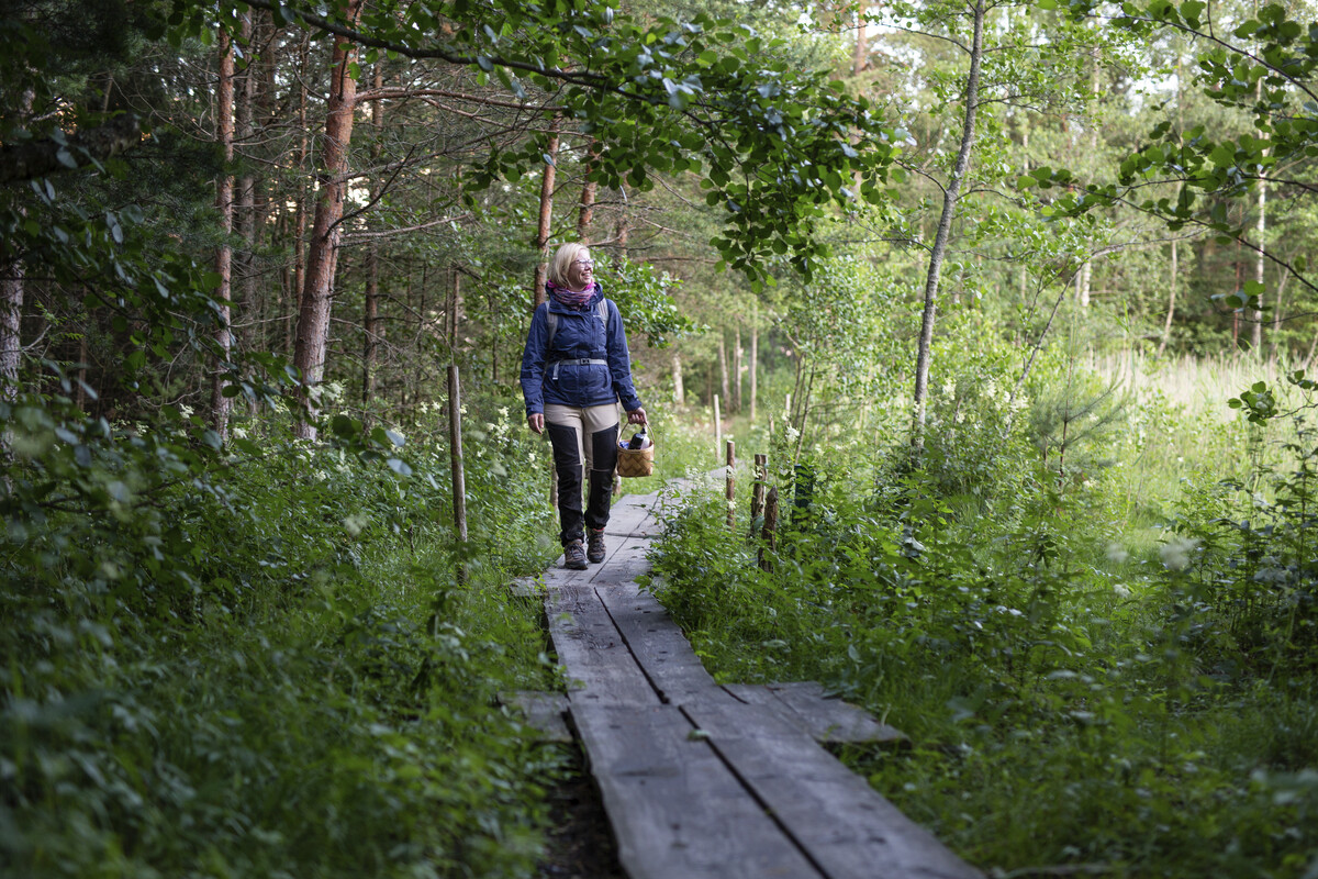 Bild av verksamhetsställetNybondas naturstig