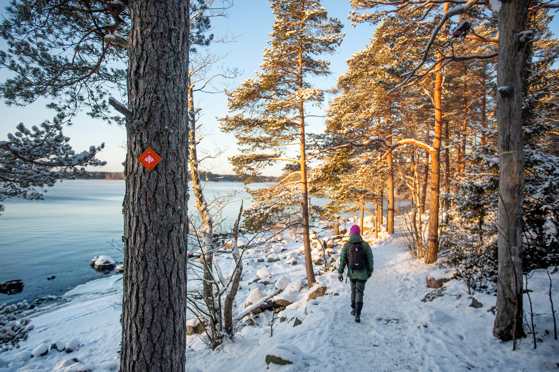 Kuva toimipisteestä: Uutelan metsäluontopolku